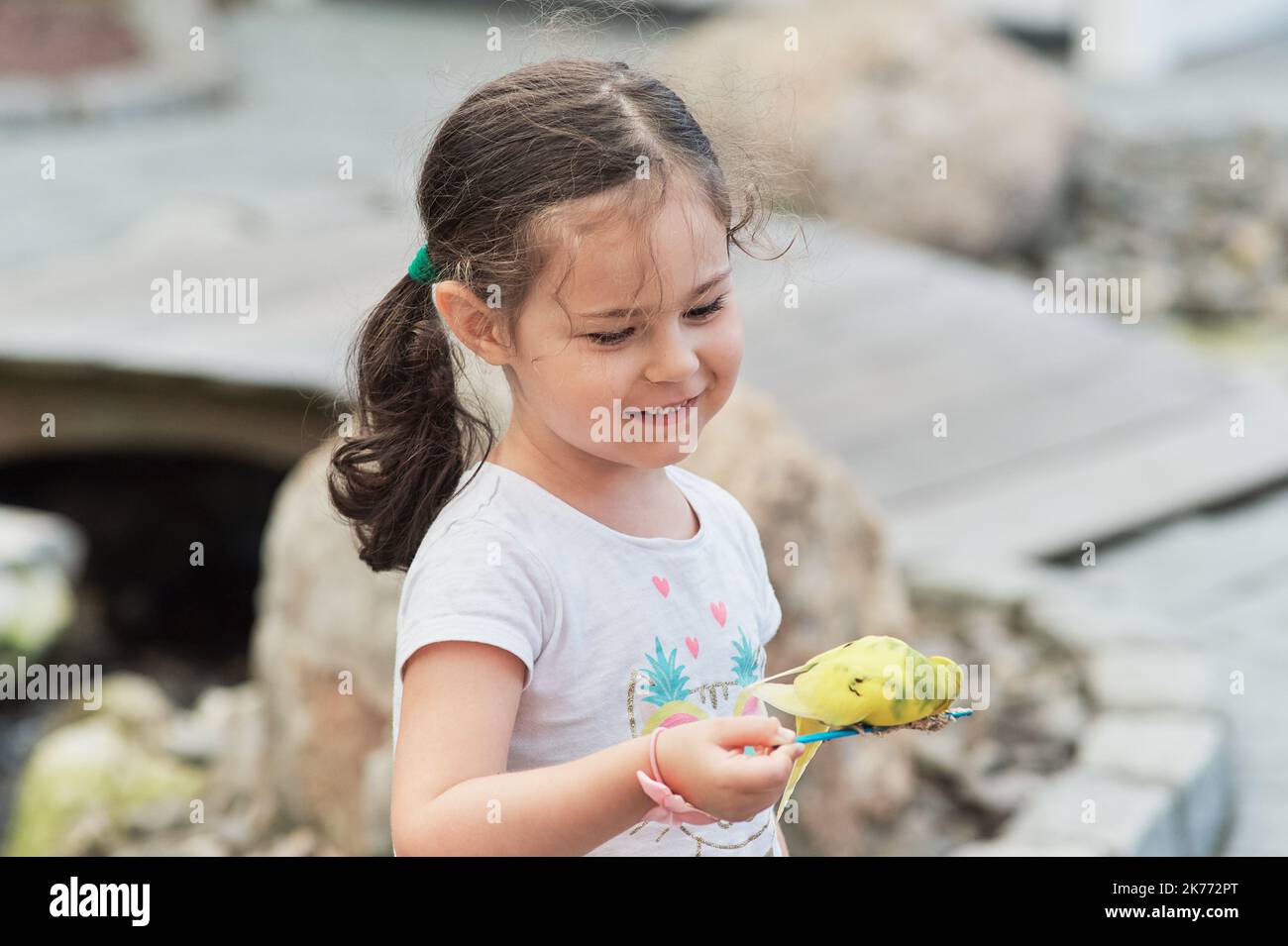 Junges Mädchen, das einen zahmen Vogel auf einem Futterstock im Zoo hält Stockfoto
