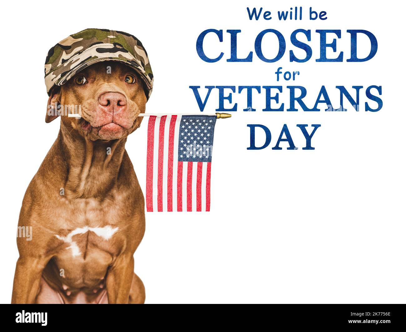 Schild. Wir sind zum Veteranentag geschlossen Stockfoto