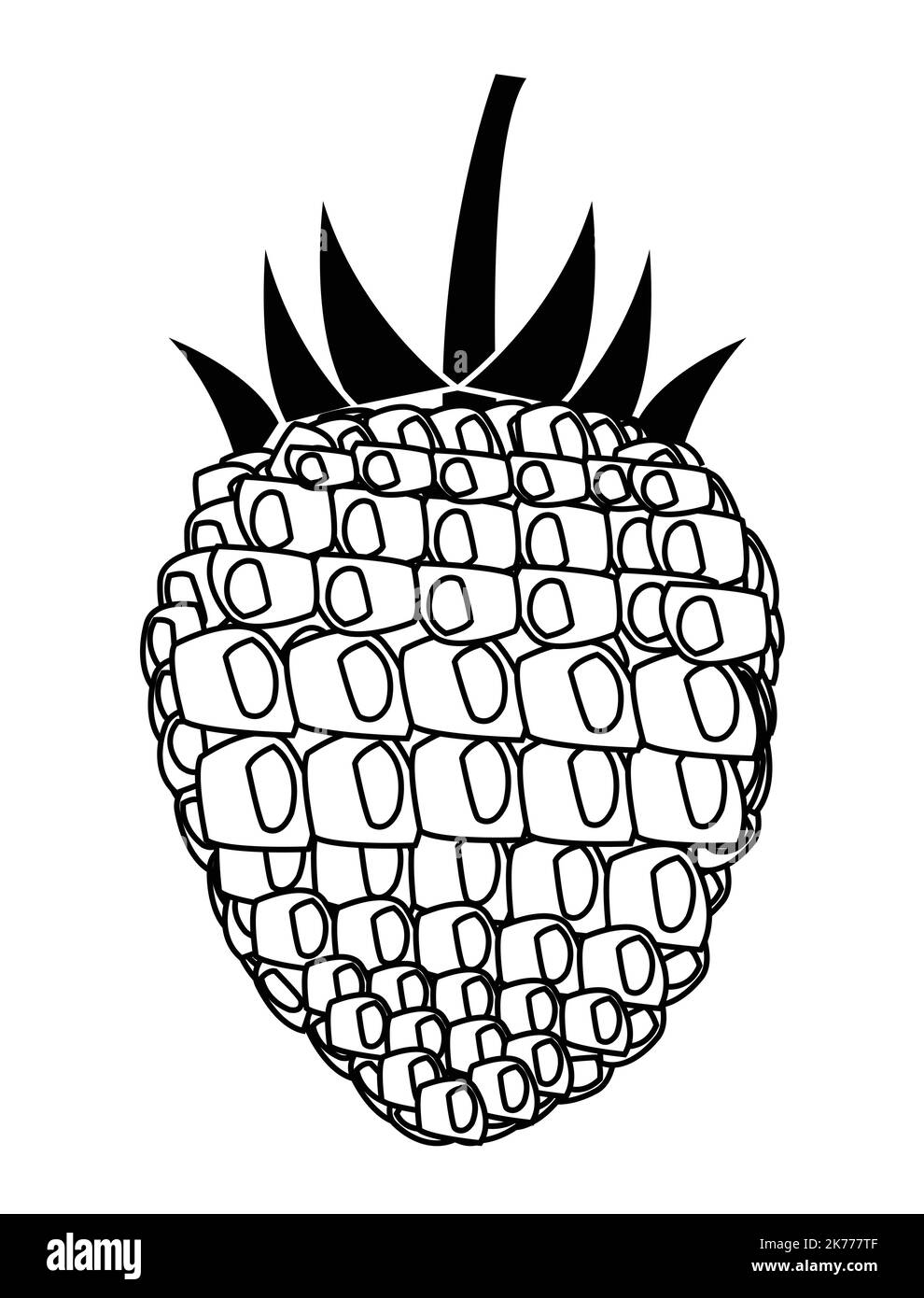 Schwarz-Weiß-Raspberry-Vektor-Design Kunst.Beste grafische Ressourcen Illustration. vektorgrafikdesign für Icons und Symbole und Logo-Gestaltung Stock Vektor