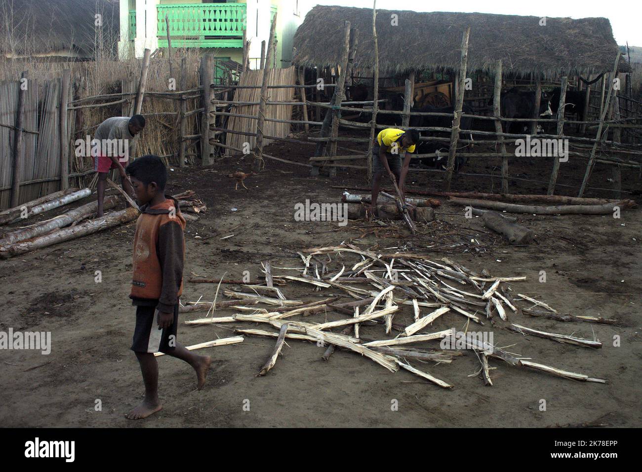 ©Arnaud De Grave / Le Pictorium/MAXPPP - Arnaud De Grave / Le Pictorium - 12/11/2015 - Madagaskar / Alaotra-Mangoro - Enfants Coupant du bois a l'aube. / 12/11/2015 - Madagaskar / Alaotra-Mangoro - Kinder hacken Holz im Morgengrauen. Stockfoto