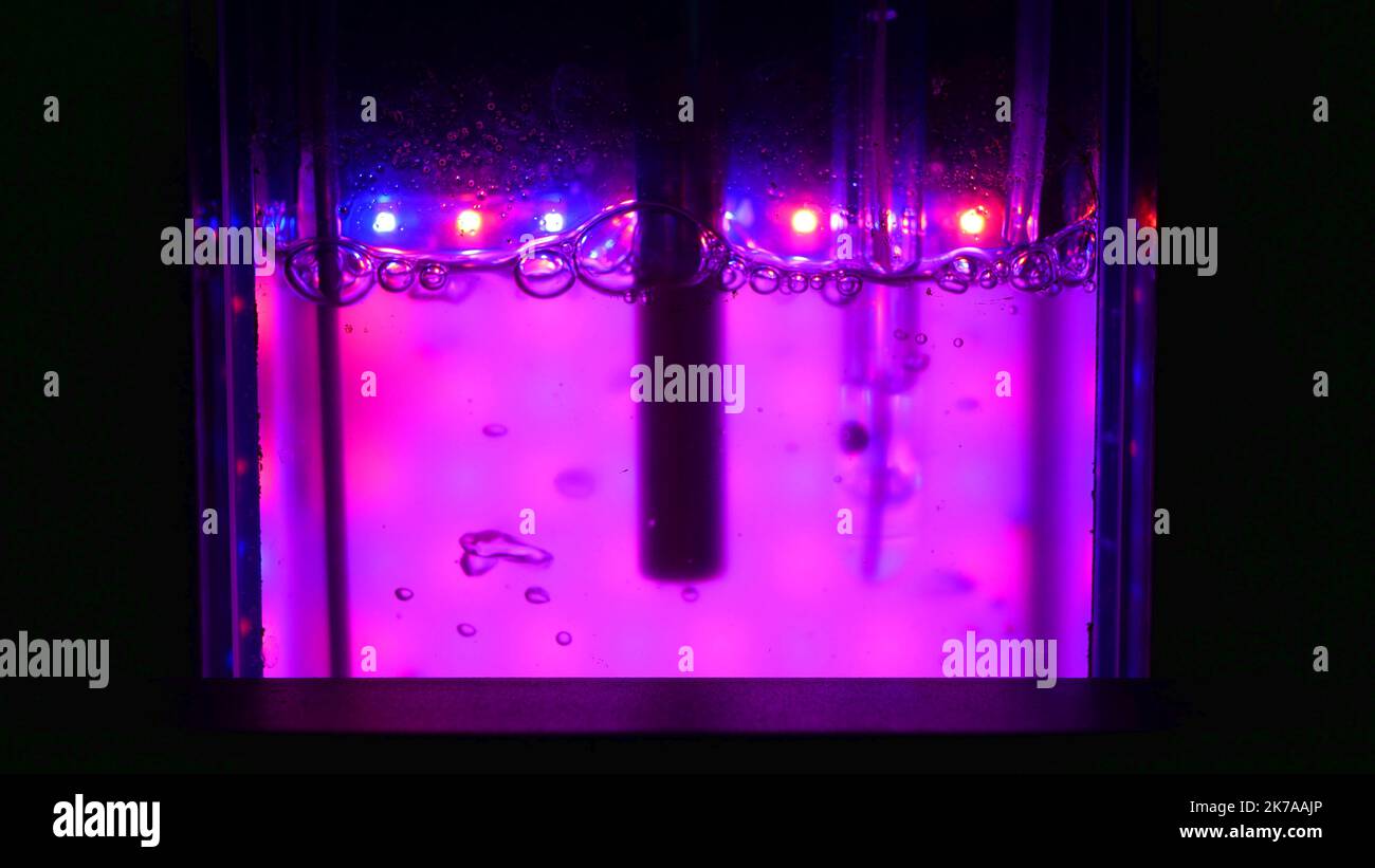 Algenwissenschaft Reaktor, Forschung modernes Labor Bioreaktor Multi Grubber Photonensystem Instrument Biotechnologie Detail Probenvorbereitung Blasen Stockfoto