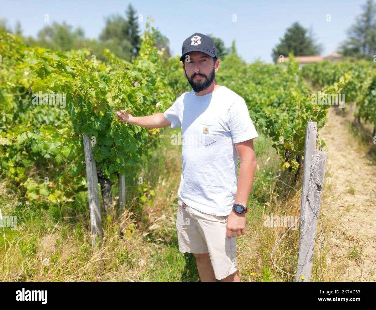 ©PHOTOPQR/SUD OUEST/GALIACY ; GALGON ; 09/07/2020 ; VIGNES FANTÔMES / CHATEAU LE CARRELET VS CHÂTEAU CHABIRAN - JEMERY BRUN BORDEAUX : « La Maladie prolifère », un viticulteur s’élève contre les « vignes fantômes » à l’Abandon Par manque d’entrétien, le mildiou se propage dans les parcelles de vignes voisines - 2020/07/31. In Galgon, Südfrankreich, sieht ein Winzer seine Pflanzen von Krankheiten der nahe gelegenen Reben angegriffen, die von ihrem chinesischen Besitzer aufgegeben wurden. Dies ist kein Einzelfall. Stockfoto