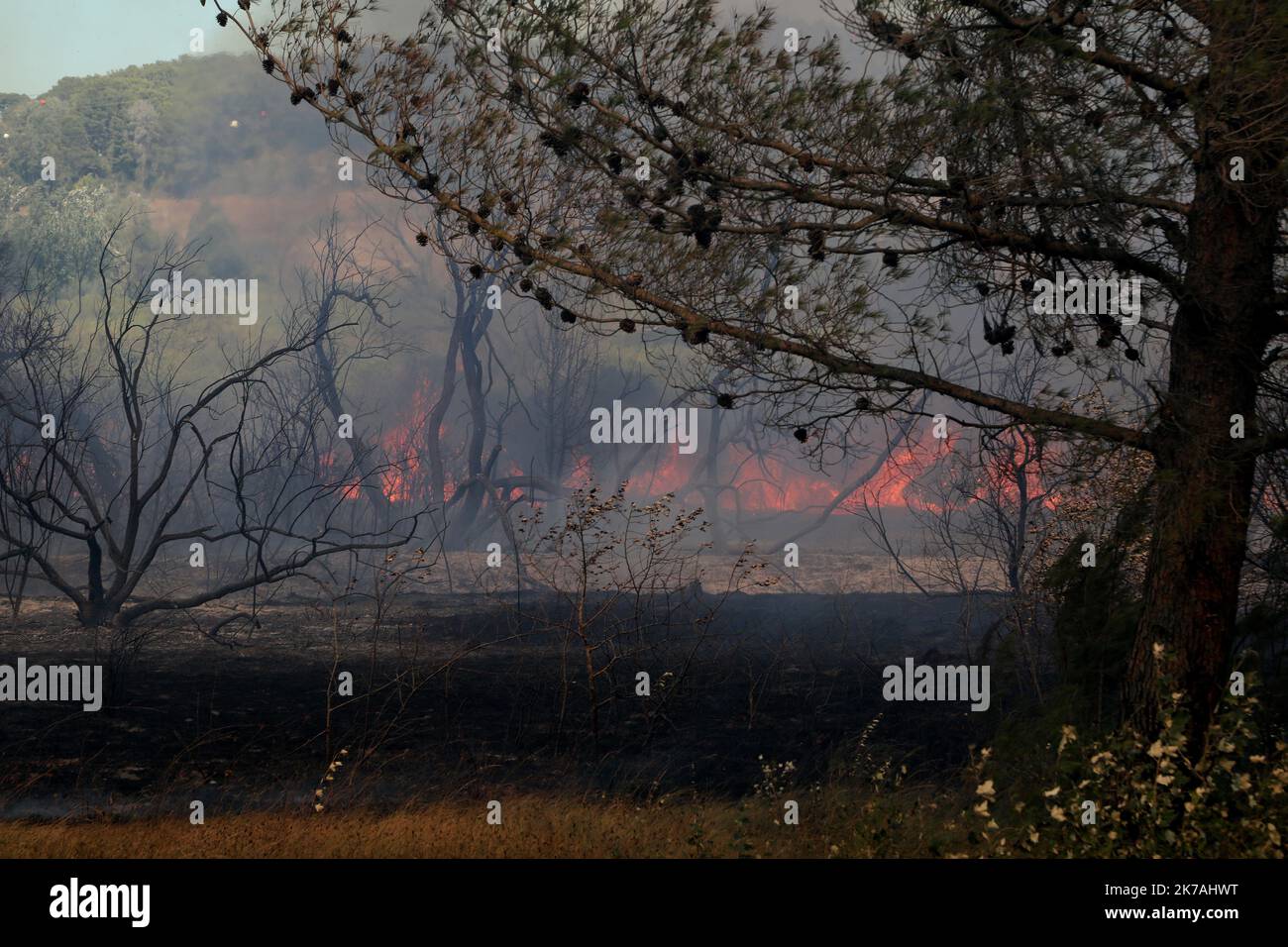 ©PHOTOPQR/LA PROVENCE/Serge Gueroult ; Saint Mitre ; 24/08/2020 ; UN incendie a Parcour 500 Hektar sur les communes de Saint Mitre les remparts et Port de Bouc , le feu n'est toujours pas fixé en début de soirée . Feuer bei Istres: Das Feuer hat bereits 450 Hektar bedeckt. 24. August 2020 Stockfoto