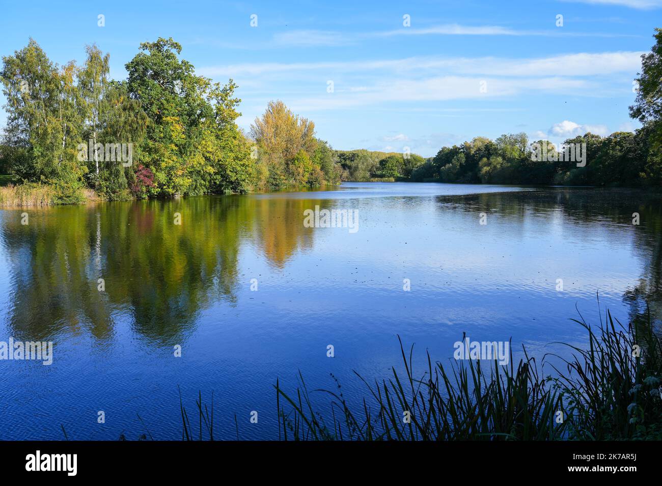 Herbstfarben auf den Bäumen spiegeln sich in einem Angelsee im Patsull Park, South Staffordshire Stockfoto