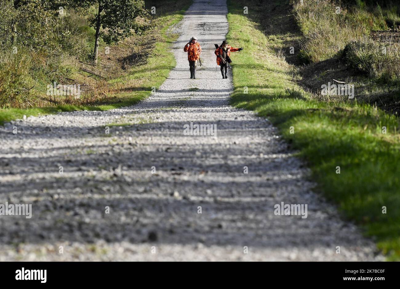 ©PHOTOPQR/VOIX DU Nord/Sebastien JARRY ; 11/10/2020 ; Desvres . le 11/10/2020 .Partie de Chasse dans la foret domaniale. Foto : Sébastien JARRY : LA VOIX DU Nord - 2020/10 Jagd im Wald. Stockfoto