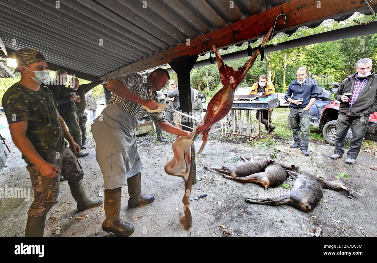 ©PHOTOPQR/VOIX DU Nord/Sebastien JARRY ; 11/10/2020 ; Desvres . le 11/10/2020 .Partie de Chasse dans la foret domaniale. Foto : Sébastien JARRY : LA VOIX DU Nord - 2020/10 Jagd im Wald. Stockfoto