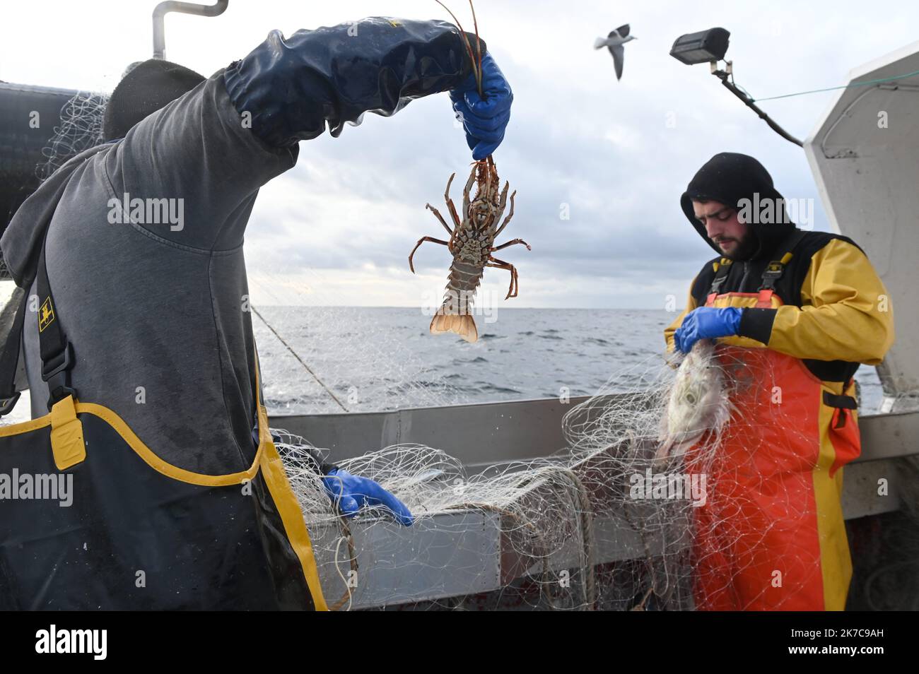 ©PHOTOPQR/LE TELEGRAM/Nicolas Creach ; ; 09/12/2020 ; FOTO Nicolas Creach / LE TELEGRAMM. Audierne (29) LE 09122020 Reportage de la peche au Langouste sur le Bateau Noz-Dei-II. - Hummer Fishing Audierne, Frankreich Dez, 9 2020 Stockfoto