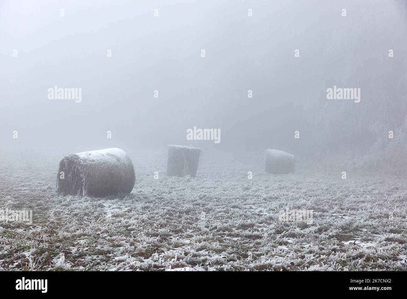 Landwirtschaftliches Feld mit Ballen im kalten Winterfrost und Nebel Stockfoto