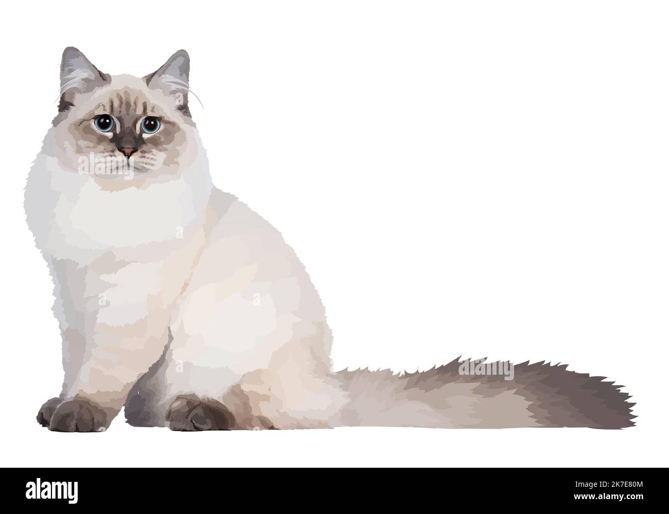Realistische Vektor weiße Katze. Katze mit blauen Augen und flauschigem Schwanz, sitzend und in der Kamera schauend. Abbildung der Vorderansicht Stock Vektor