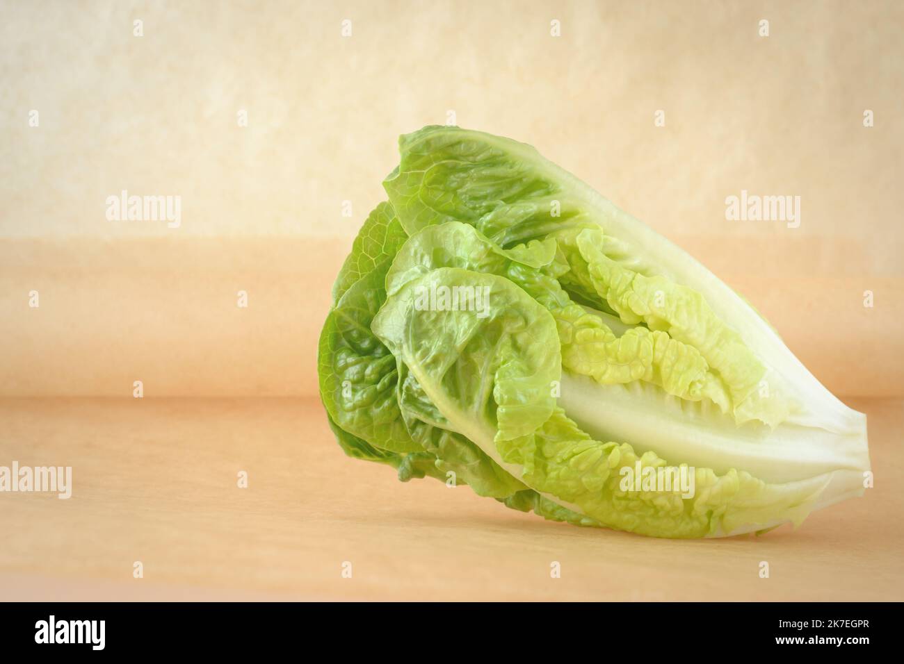 Hellbeiger Hintergrund mit grünen Salatblättern Stockfoto