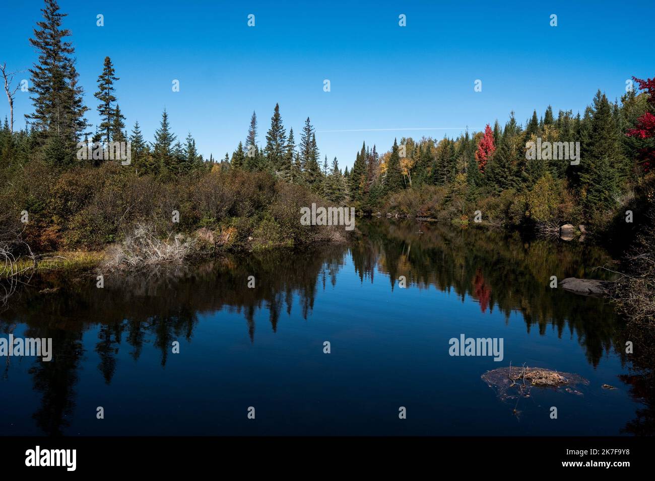 ©Michael Bunel / Le Pictorium/MAXPPP - ete indien au canada. Les feuilles des erables, chenes et aulnes tournent au Rouge, jaune, orange et ocre a cette periode de l'annee. Val david. Kanada. 3 Oktobre. 2021. Val David. Kanada. Stockfoto