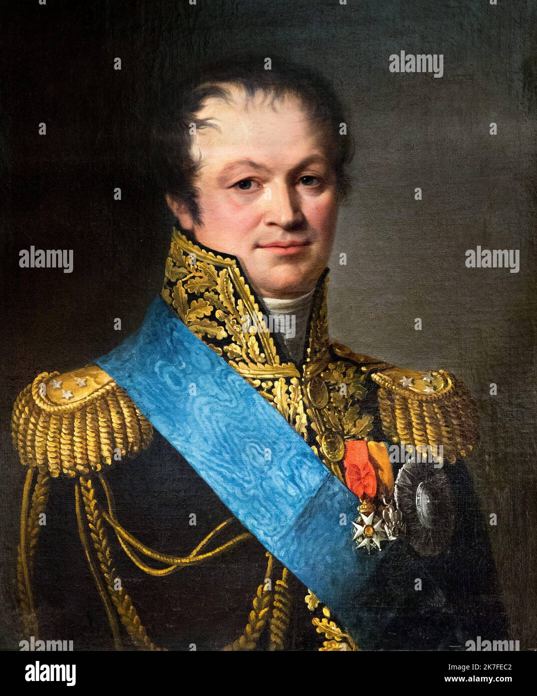 ©Active Museu/MAXPPP - ActiveMuseum 0006650.jpg / Le General Henri-Francois Charpentier, Portant les insignes de l'ordre de la Reunion / Ecole Francaise XIX / Peinture Active Museum / Le Pictorium Close-Medium Shot, Dekoration, direkter Blick, Epaulette, General Officer, grauer Hintergrund, Ehrenlegion, Mann, Medaille, Schal, kurzhaarig, Stehkragen, Dreiviertel-Profil, Vertikal, General Henri-Francois, Charpentier, 19.. Jahrhundert, Französische Schule , Stockfoto