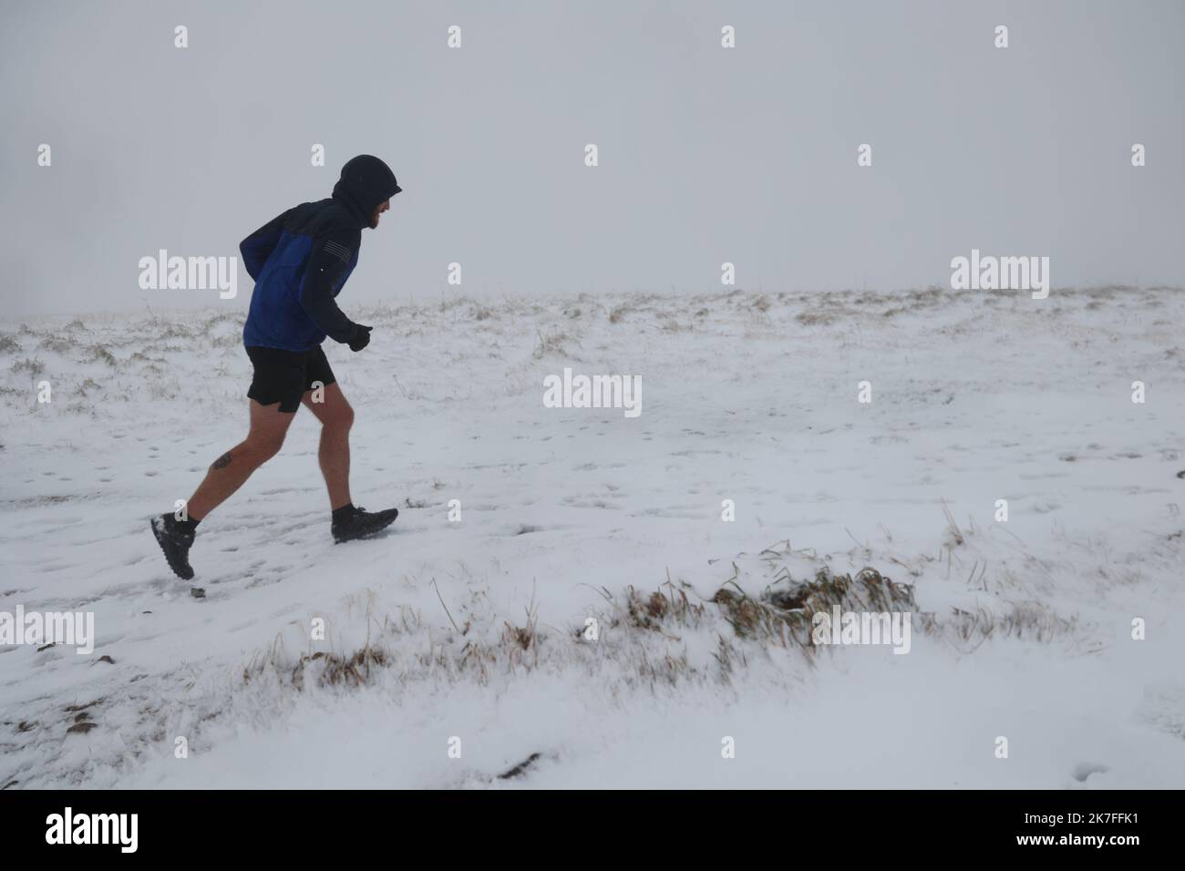 ©PHOTOPQR/L'ALSACE/Hervé KIELWASSER ; Soultzeren ; 02/11/2021 ; Les première neiges sont tombées ce matin à l'aube sur le Massif vosgien le 2 novembre 2021. UN traileur venu des Vosges surpris par la neige au sommet. - Erster Schnee im Nordosten Frankreichs, in Soultzeren, am 2. 2021. november Stockfoto