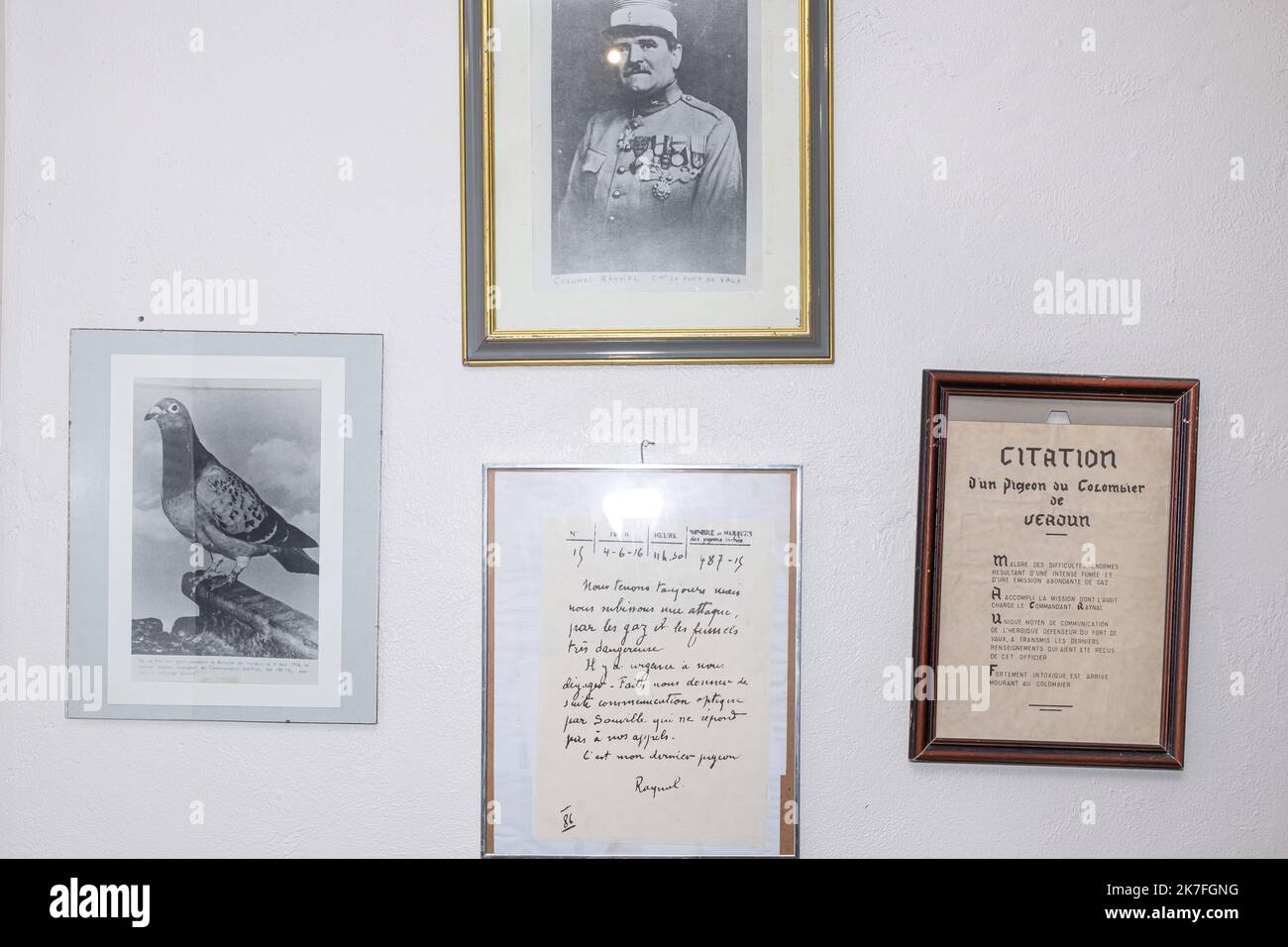 ©Olivier Donnars / Le Pictorium/MAXPPP - Dans le musee consacre aux Tauben voyageurs militaires du Mont Valerien, les Portraits du commandant Raynal, du pigeon voyageur Vaillant et le dernier message que le commandant envoya depuis le fort de Vaux a Verdun, encercle par les Allemands le 4 juin 1916, Demandant de l'aide. Stockfoto