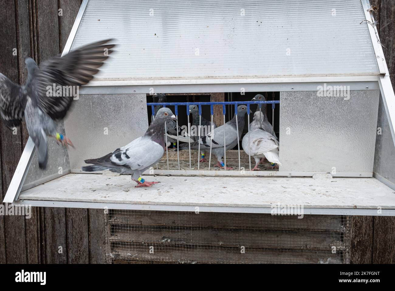 Scatoline Per Denti Da Latte In Legno - 2 Pezzi Porta Ricordi Per Fatina Dei Denti, Regalo Carino Per Bambini