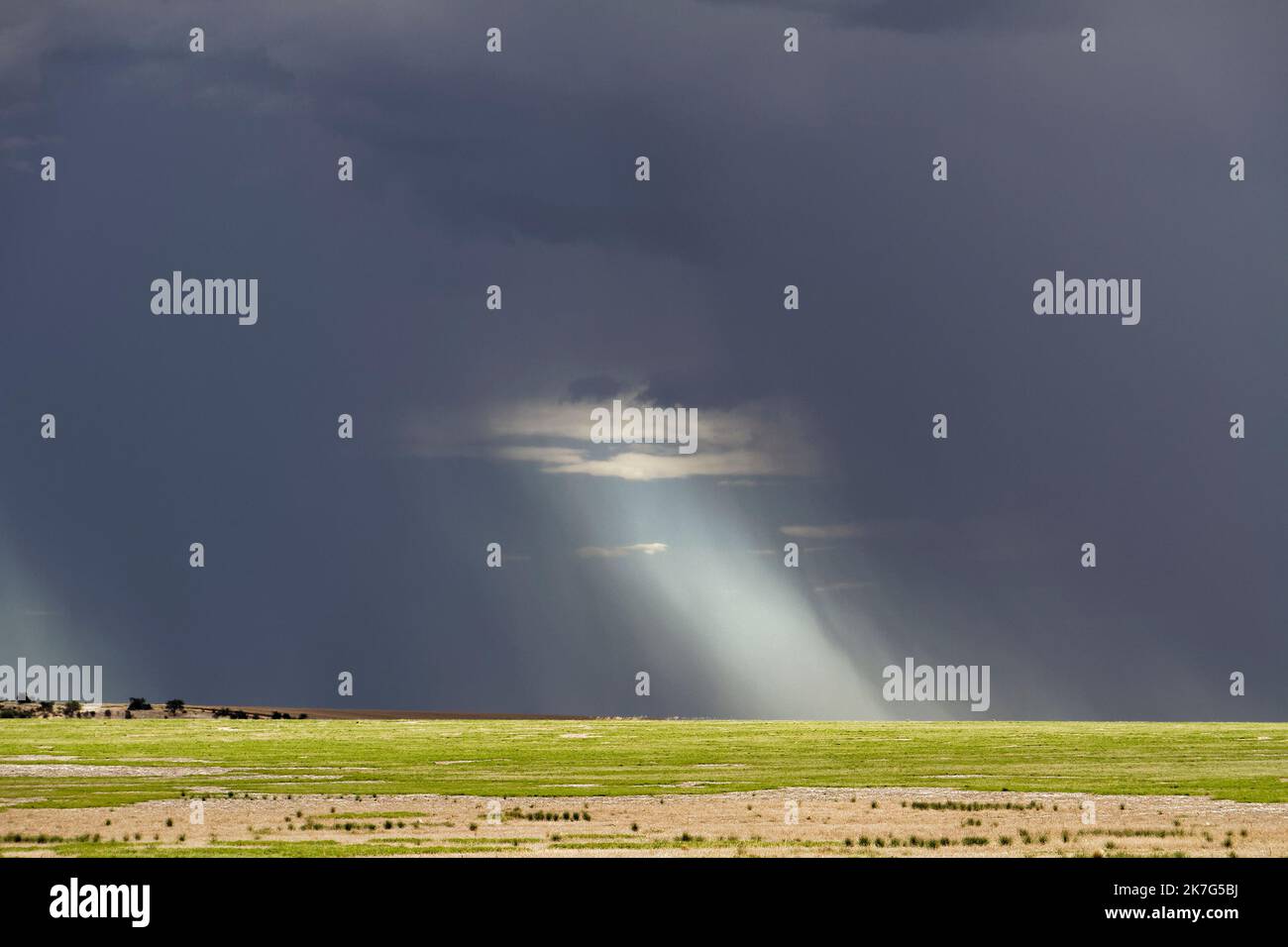Sturm über Ackerland, Carnamah, Westaustralien Stockfoto