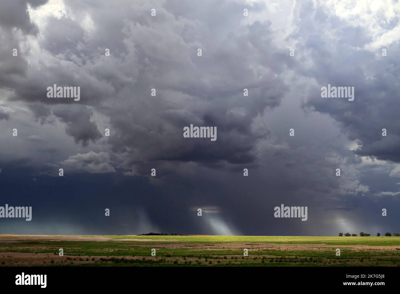 Sturm über Ackerland, Carnamah, Westaustralien Stockfoto