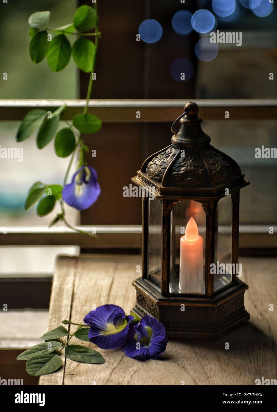 LED-Lampe mit Blume Stillleben Stockfoto