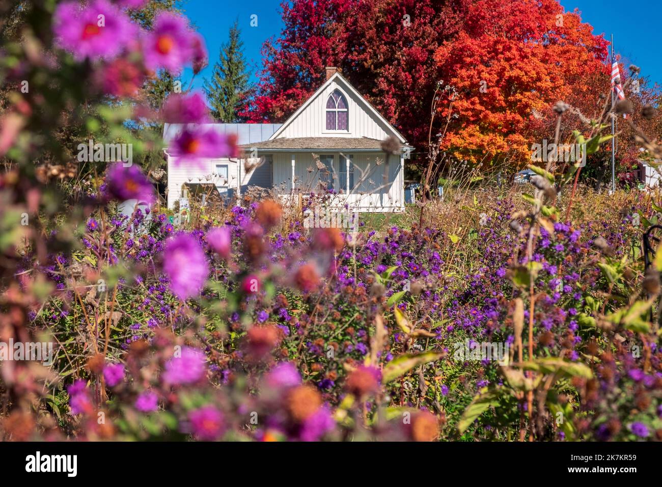 Grant Wood's American Gothic House, Eldon, Iowa, helle Herbstfarben, blauer Himmel, Oktobertag Stockfoto