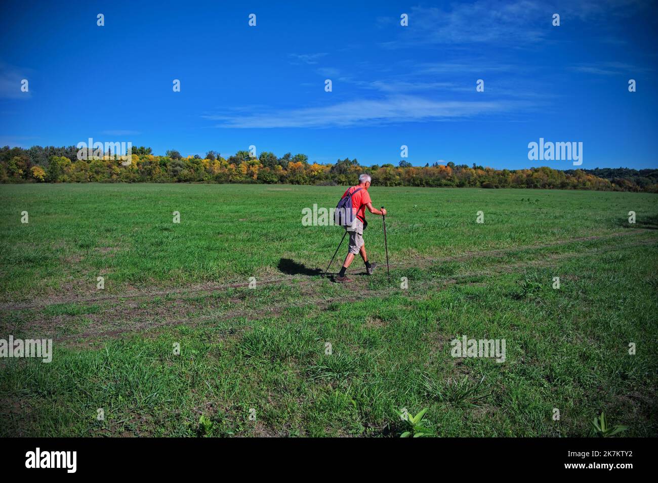 Seniorenkind, der auf dem Weg über die Wiese wandert Stockfoto