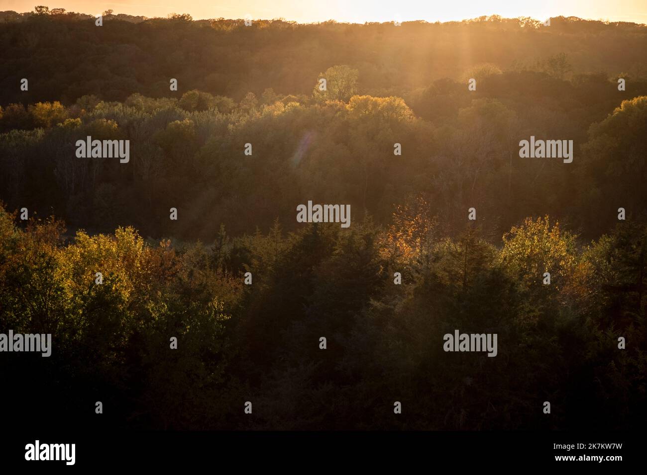 Abendlicht in den Loess Hills im Westen von Iowa, USA; Sonnenuntergang im Oktober Stockfoto