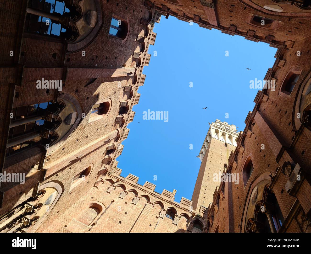 Piazza del Campo ist der muschelförmige Platz, auf dem der Palio di Siena stattfindet. Der Palazzo Pubblico und der Torre del Mangia dominieren den Platz Stockfoto