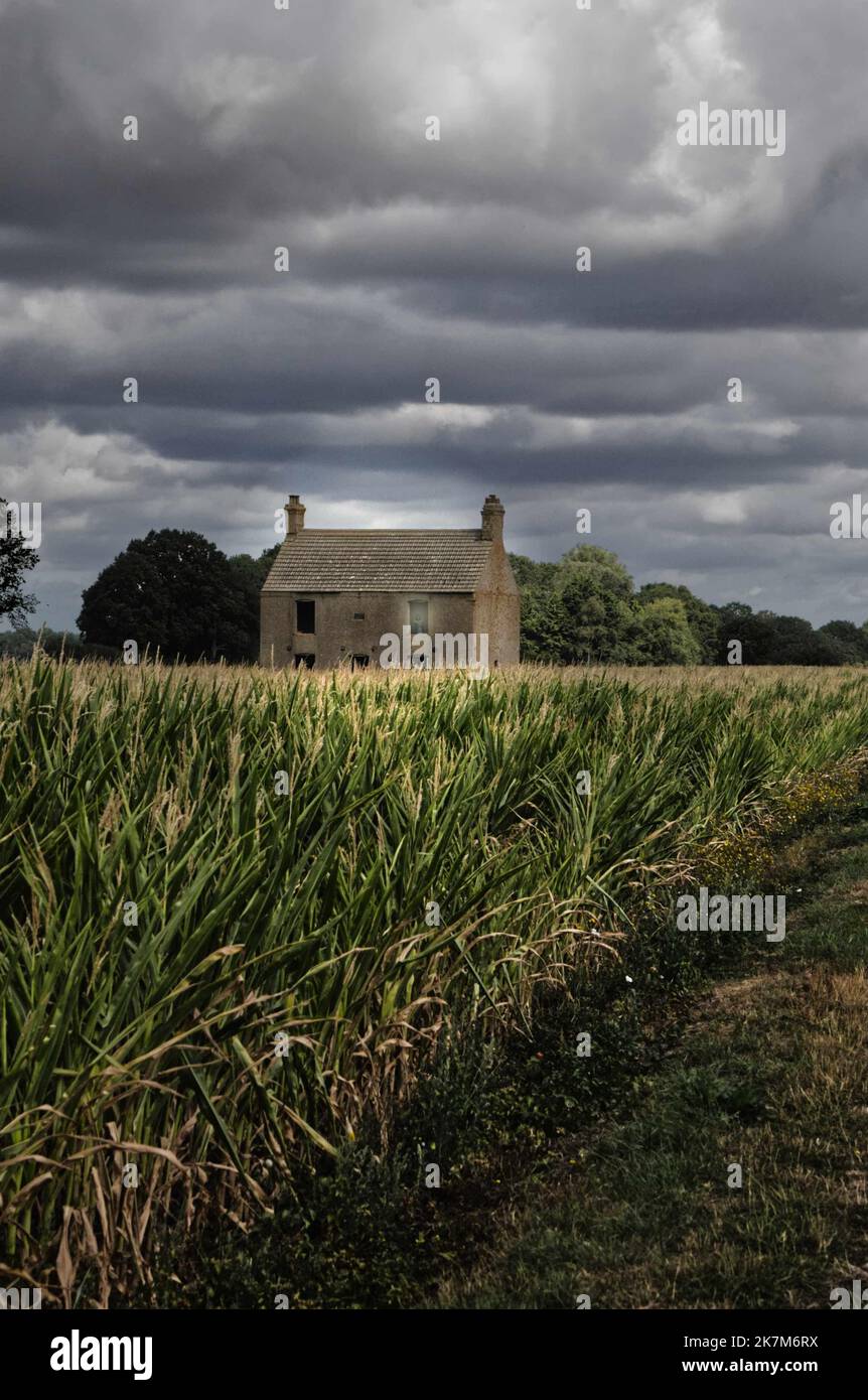 Gespenstisch ruiniert verlassenen Bauernhaus allein auf den Feldern mit Licht in 1 Fenster Stockfoto