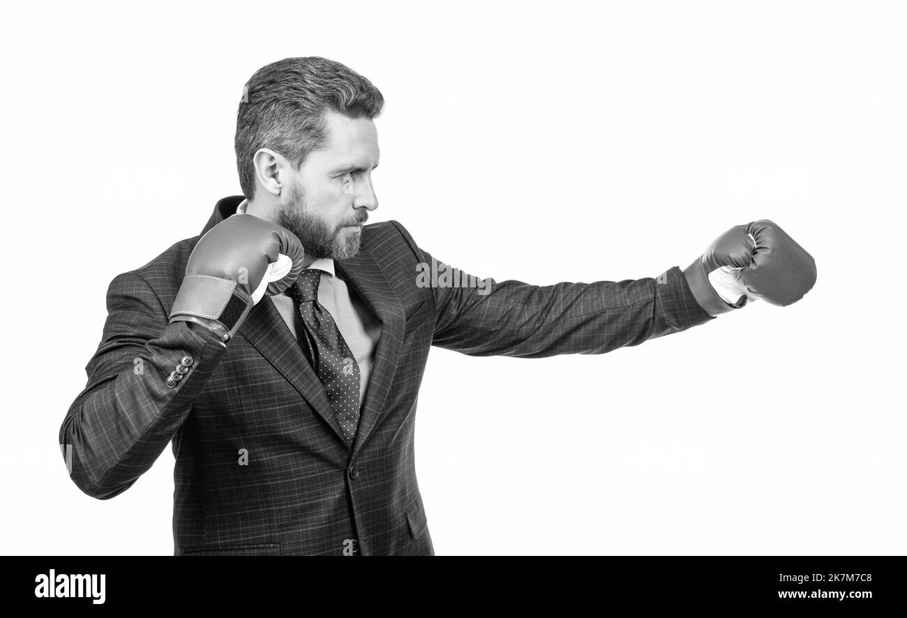 Erfolgreicher, starker ceo Boxer. Unermüdlicher Kampf und Erfolg. Stockfoto