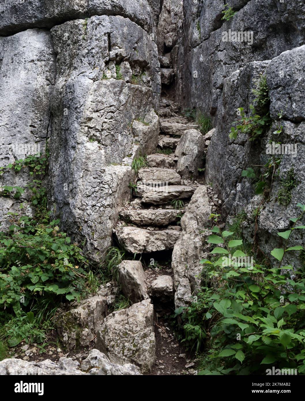 Feenstufen. Schmale Stufen, die als Teil der alten „Coffin Route“ von Beetham nach Arneside, Cumbria, in eine Spalte in einem Kalksteinfelsen gemeißelt wurden. VEREINIGTES KÖNIGREICH. Stockfoto