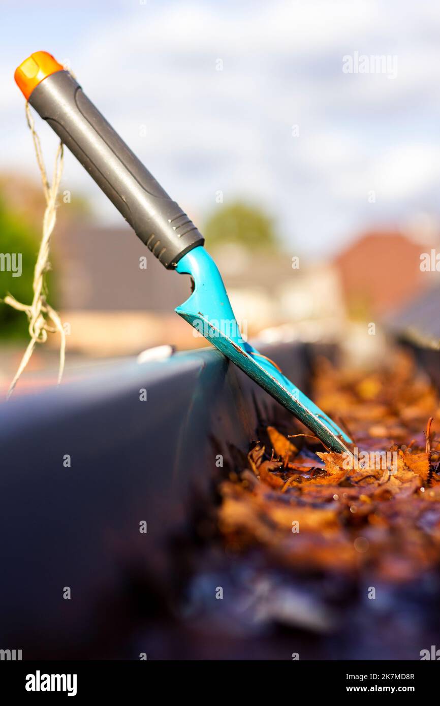 Ein Nahaufnahme Porträt einer Dachrinne voller herbstlicher Blätter an einem sonnigen Tag mit einer kleinen blauen Gartenschaufel darin von jemandem, der die reinigt Stockfoto
