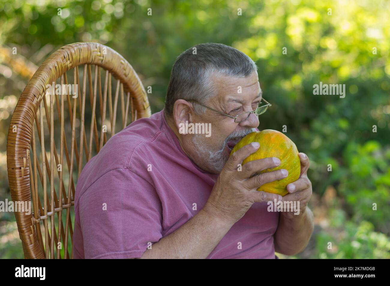 Outdoor-Porträt von lustigen bärtigen kaukasischen Senior sitzt in Weidenstuhl und versucht, reife Melone nagen Stockfoto