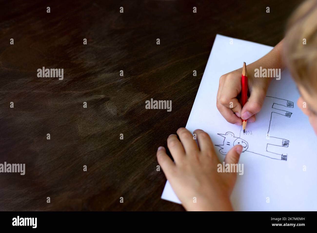 Ein Junge zeichnet eine Kuh mit einem Bleistift auf ein Blatt. Nahaufnahme der Hände. Speicherplatz kopieren. Stockfoto