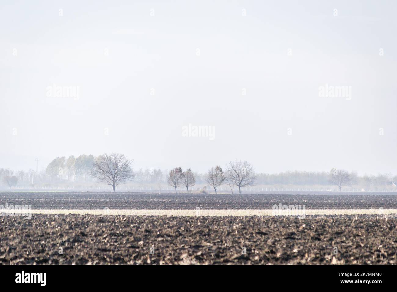 Ackerland, landwirtschaftliche Landschaft im Winter. Stockfoto
