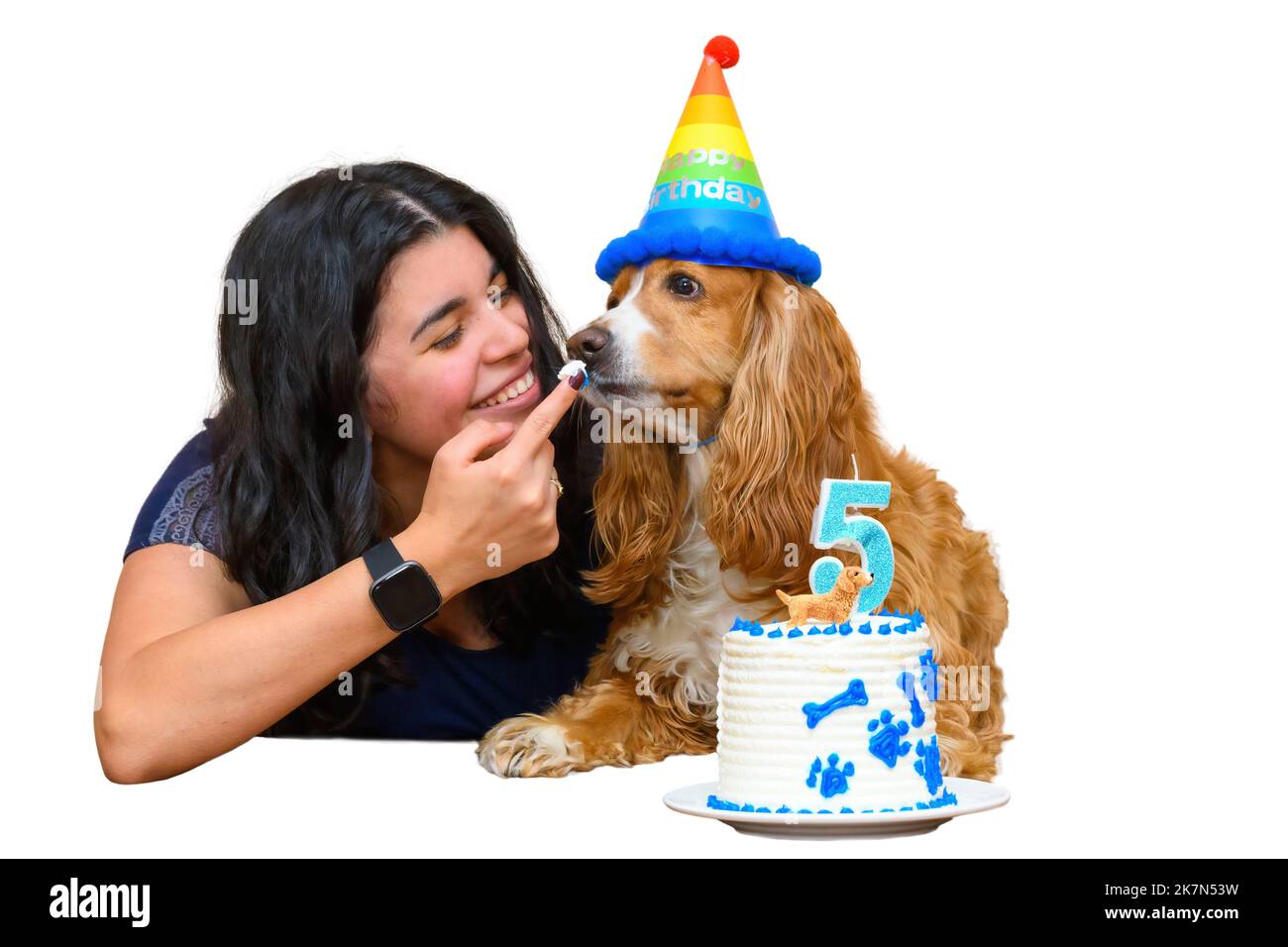 Eine brünette junge Frau feiert den fünften Geburtstag ihres Cocker-Spaniel-Hundes Stockfoto