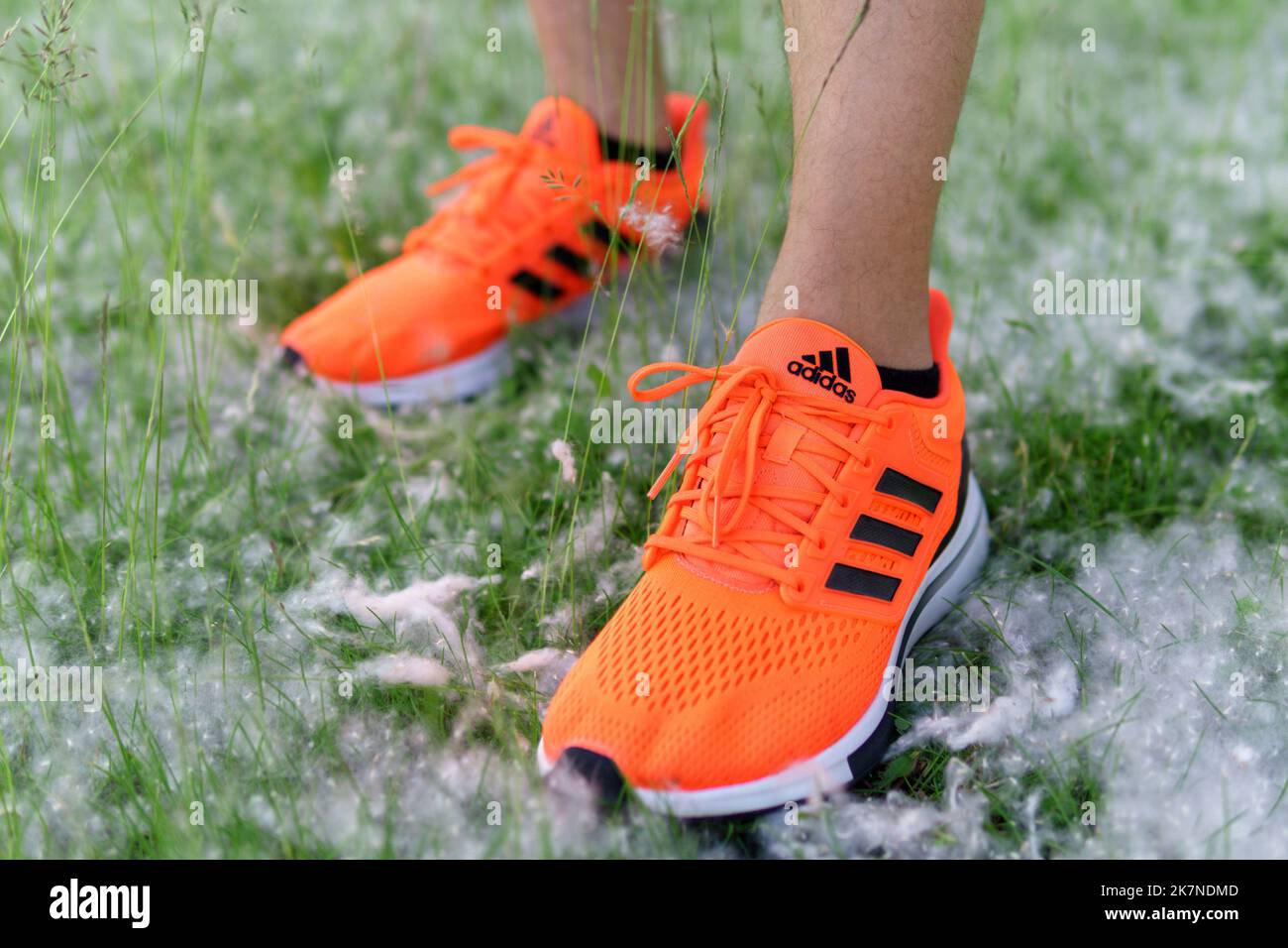 Adidas neon orange shoes best sale