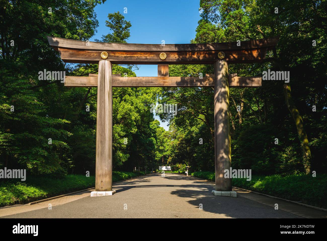 Torii der Meiji-schrein in Tokyo, Japan Stockfoto