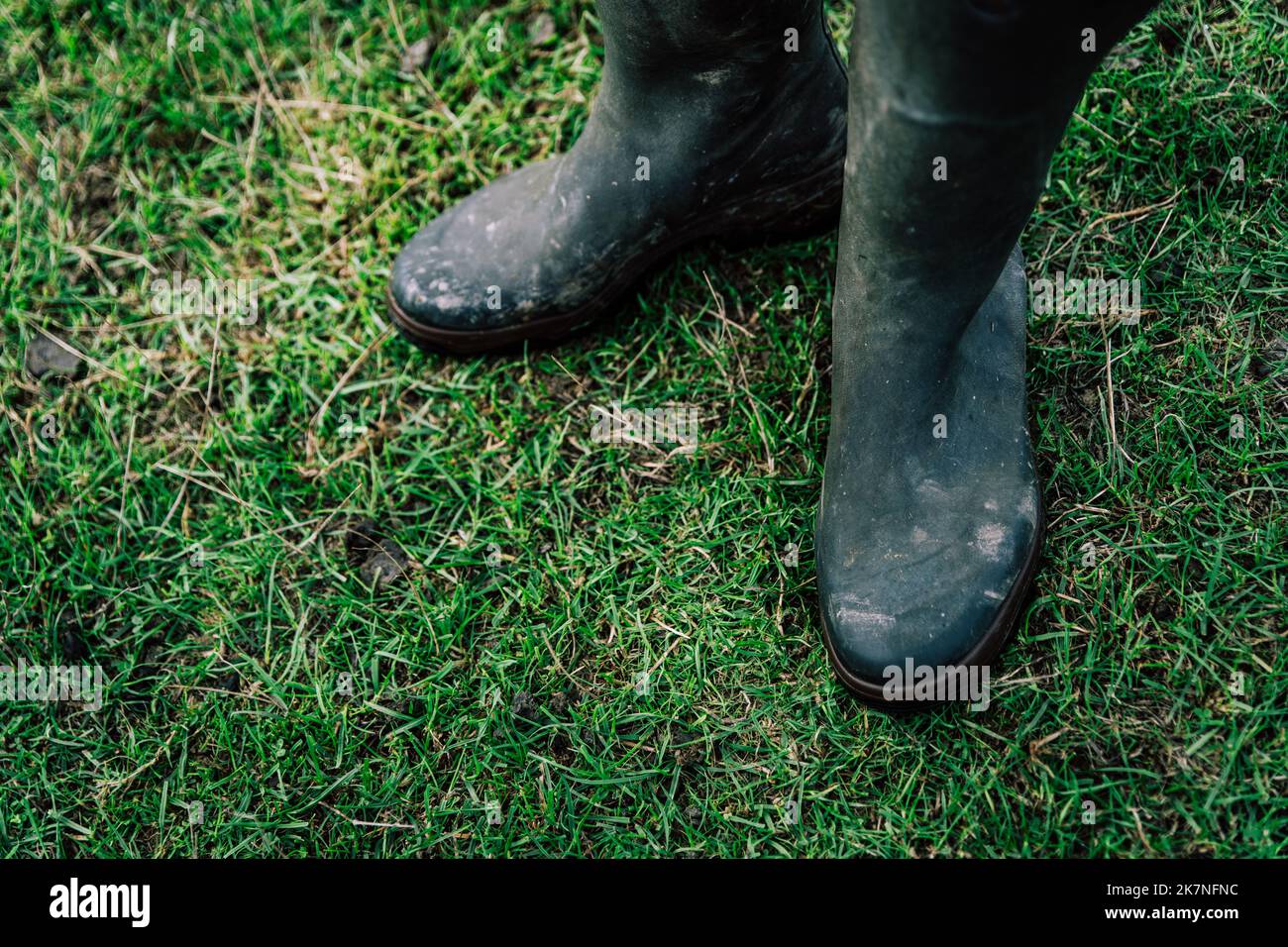 Zwei schmutzige schwarze Gummistiefel im Gras. Stockfoto