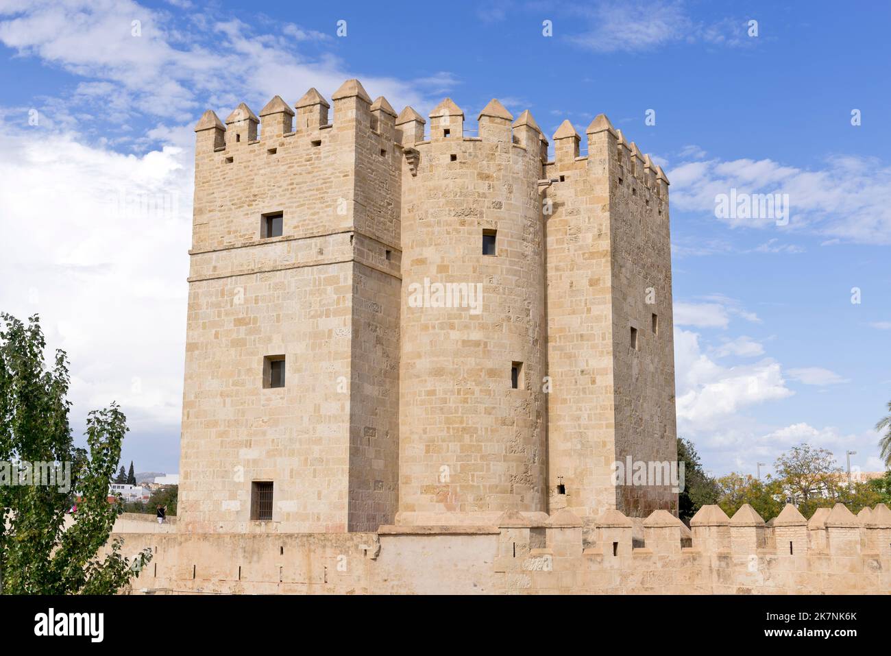 Torre de Calahorra und Puente Romano, Córdoba, Spanien Stockfoto
