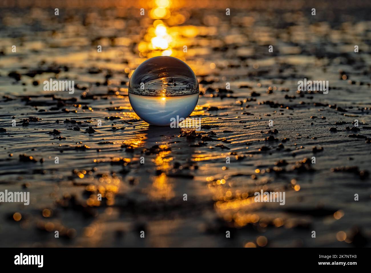 Lensball im Watt Stockfoto