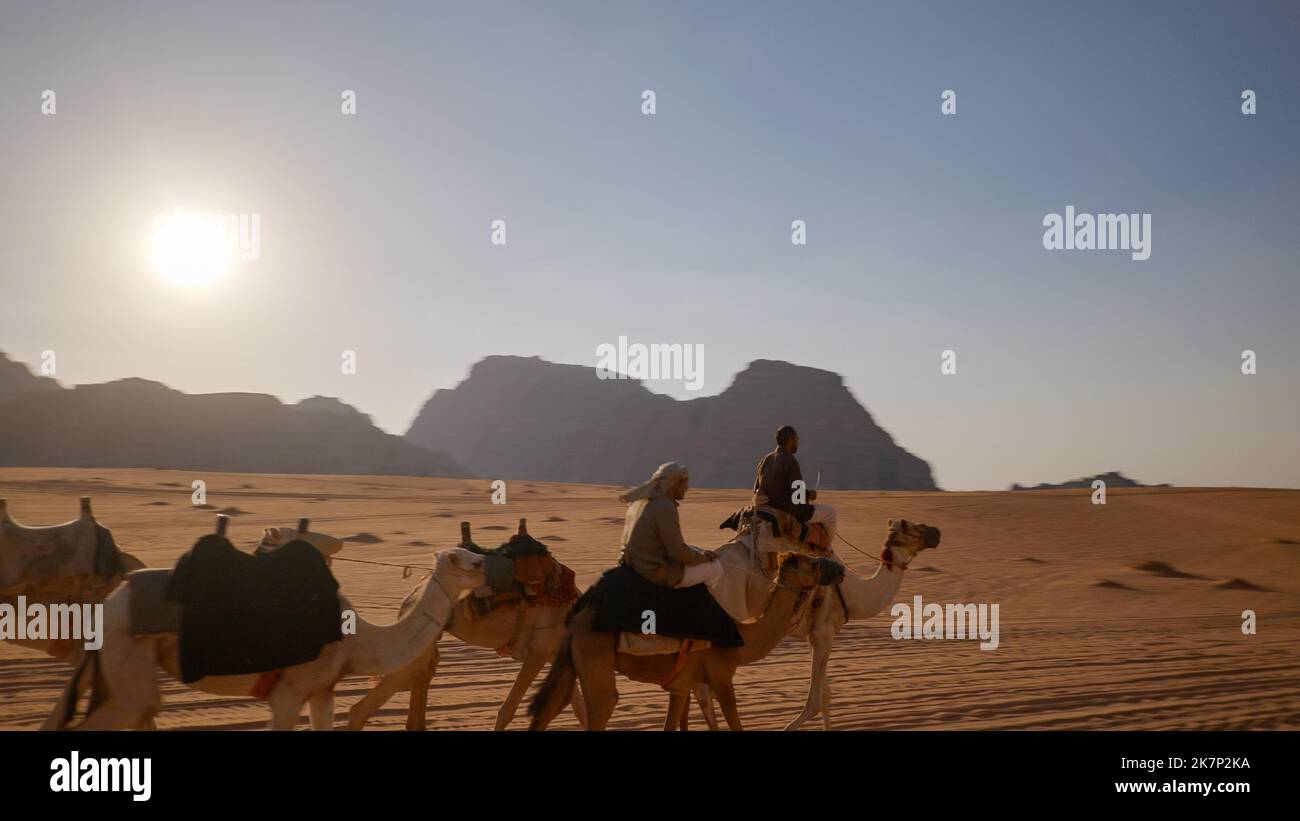 Beduinen und Kamele in der Wadi Rum Wüste, Jordanien Stockfoto