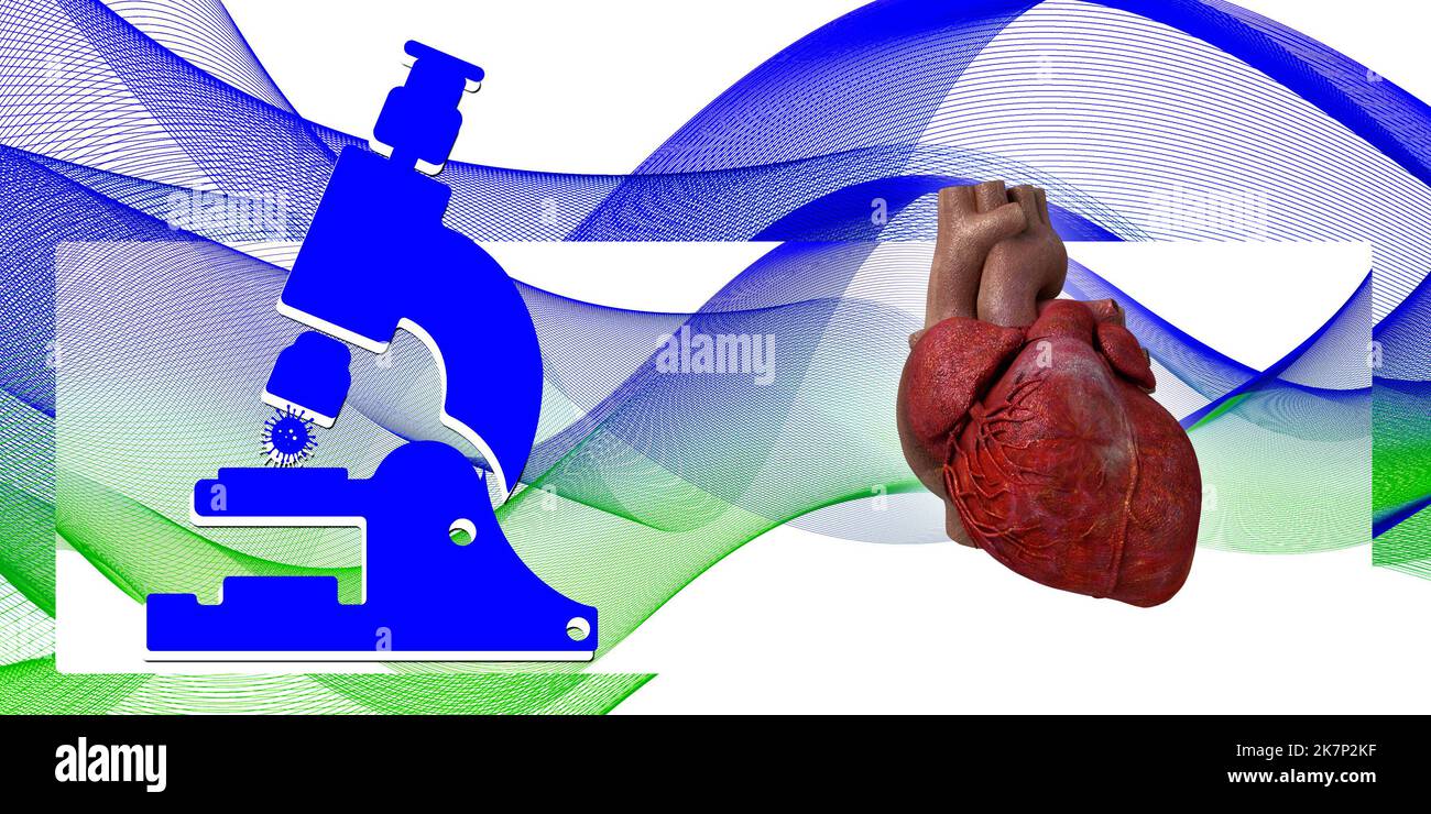 3D Illustration Anatomie des menschlichen Herzens Stockfoto