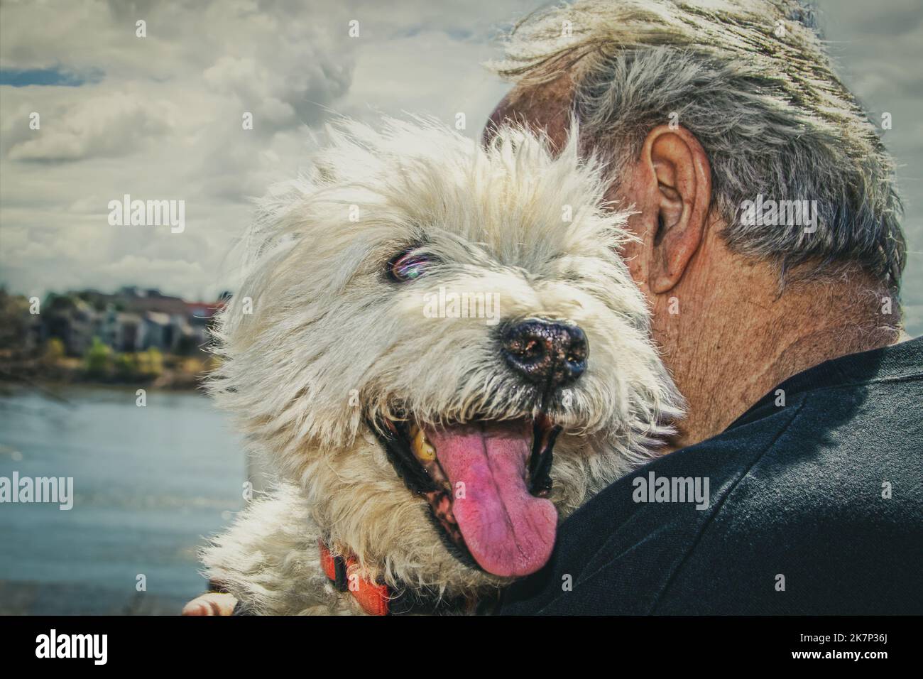 Nahaufnahme eines alten Mannes, der einen alten Hund umarmt und im Hintergrund einen verwackelten Fluss hat – West-Hochland White Terrier Stockfoto
