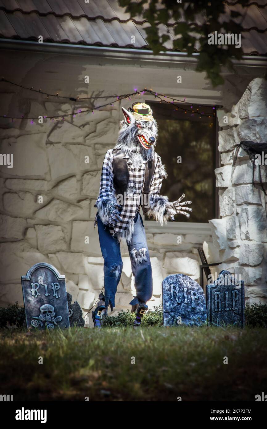 Meine unheimliche Werwolf umgeben von RIP Grabsteine Dekoration Halloween-Hof mit Haus im Hintergrund Stockfoto