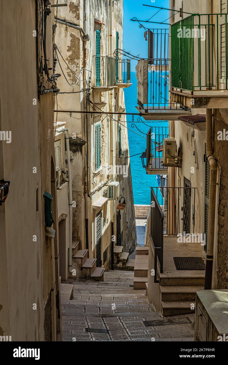 Charakteristische Gasse mit der klassischen Treppe und Balkonen der Stadt Vieste. Vieste, Provinz Foggia, Apulien, Italien, Europa Stockfoto