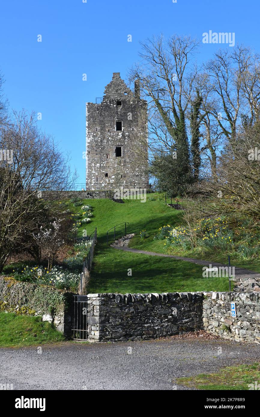 Cardoness Castle wurde im späteren 15.. Jahrhundert als befestigte Residenz der McCullochs in Dumfriesshire, Schottland, erbaut Stockfoto
