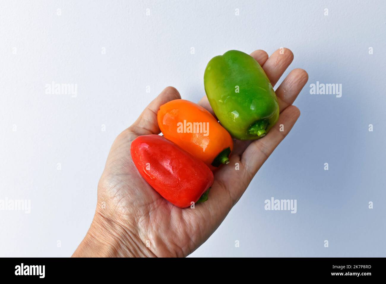 Mini-Paprika auf der Hand in einem hellen Hintergrund Stockfoto