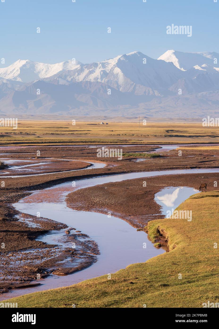 Landschaftlich reizvolle Aussicht am frühen Morgen auf die schneebedeckte Trans Alay-Bergkette mit Reflexion im Kyzylsu-Fluss und einsamem braunen Pferd im Süden Kirgisistans Stockfoto