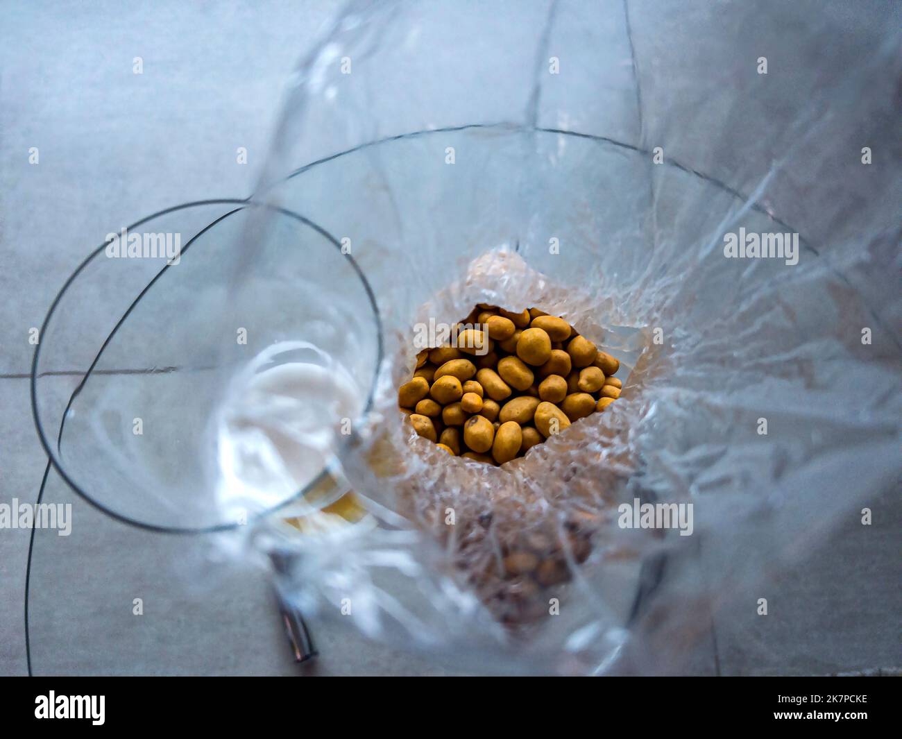 Bier mit Erdnüssen. Stockfoto
