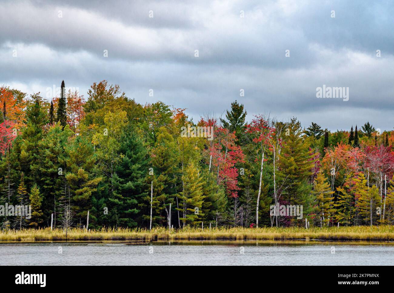 Die Küste des Council Lake im Hiawatha National Forest zeigt den Beginn der Herbstfarbe, Alger County, Michigan Stockfoto