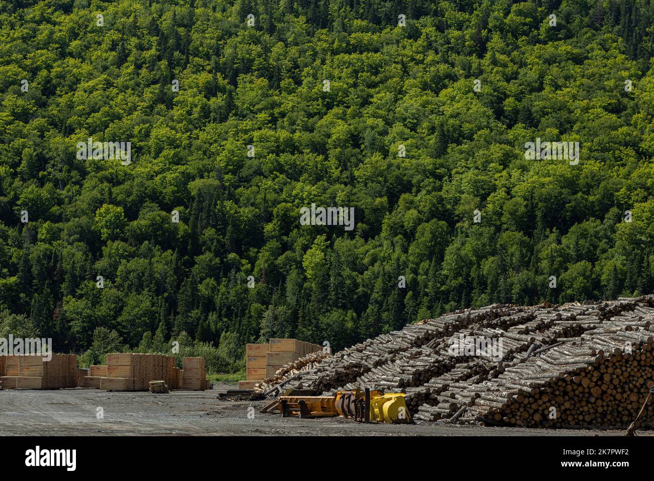 Groupe de scieries gds Fotos und Bildmaterial in hoher Auflösung Alamy